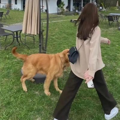 少女与狼